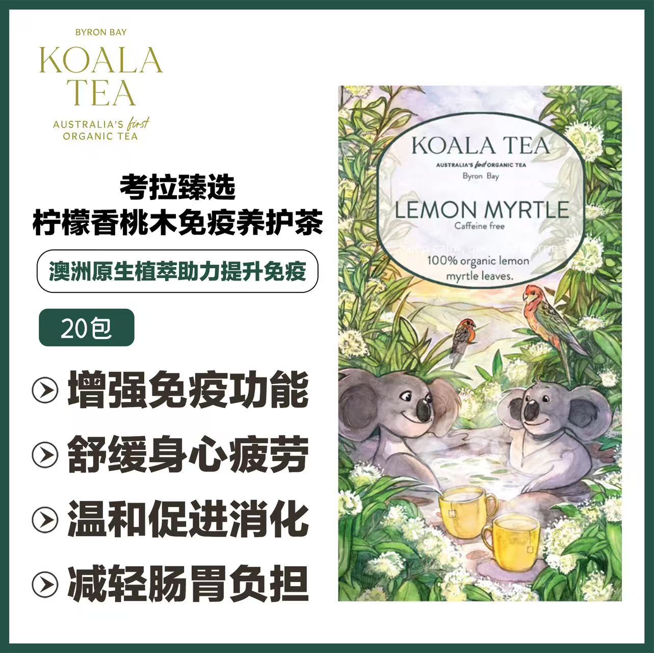 LEMON MYRTLE KOALA COLLECTION