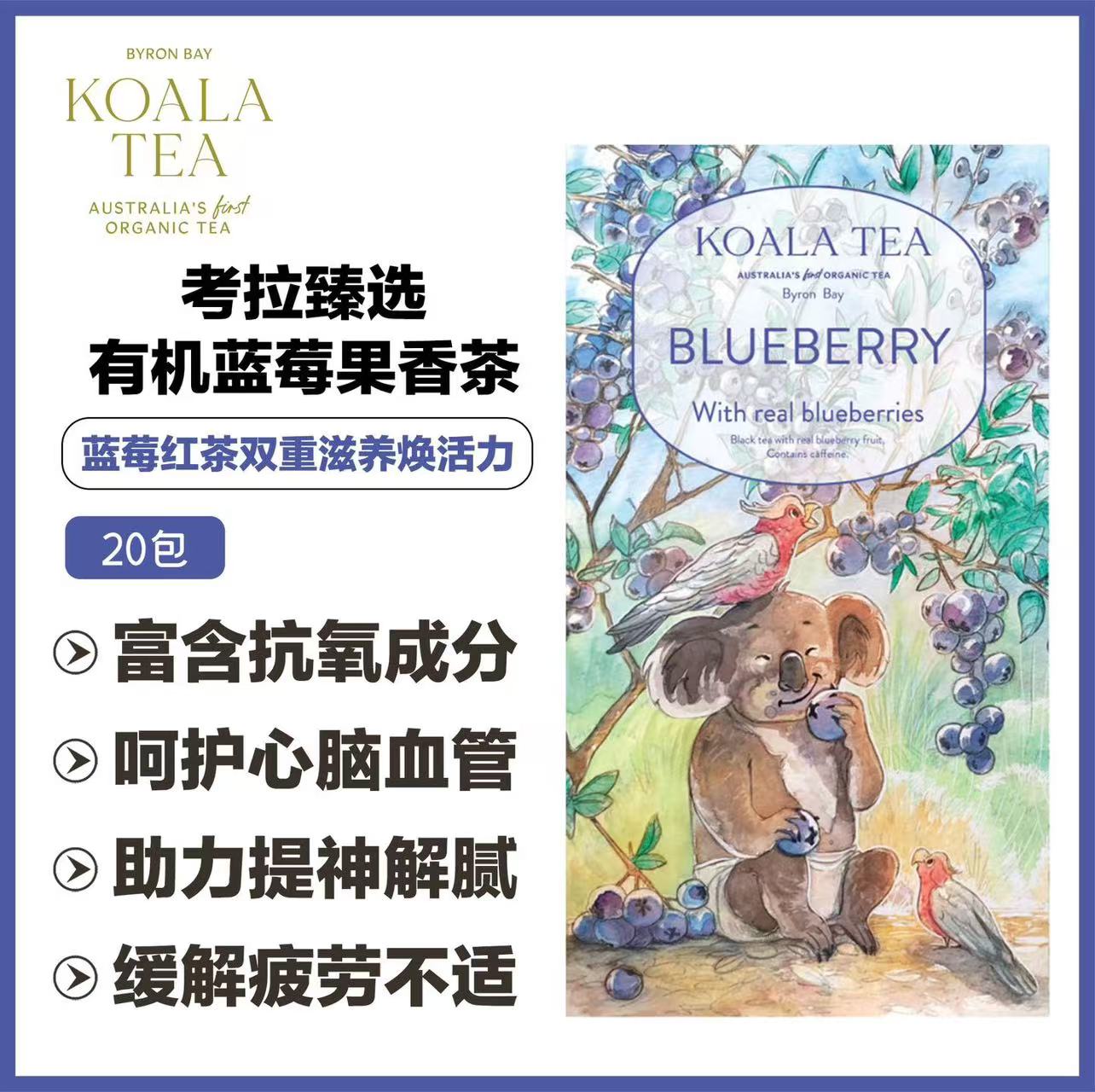 BLUEBERRY TEA KOALA COLLECTION