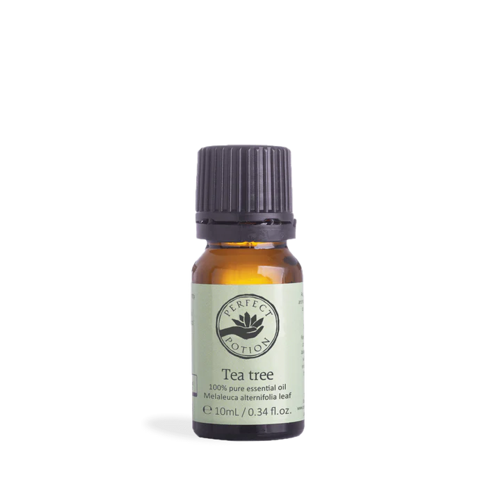 Perfect Potion Tea Tree Essential Oil 10ml