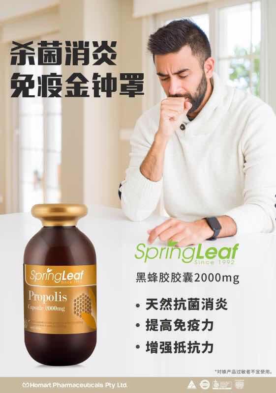 Spring Leaf 優質蜂膠膠囊 2000mg 頂級黑蜂膠