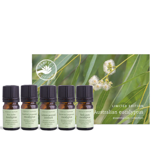 Perfect Potion Australian Eucalyptus Essential Oils Collection