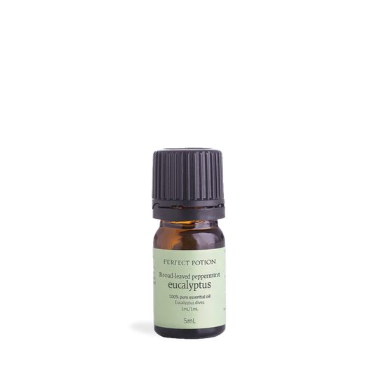 Perfect Potion Eucalyptus Broad-Leaved Peppermint Pure Essential Oil