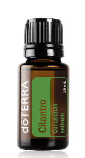 doTERRA Cilantro