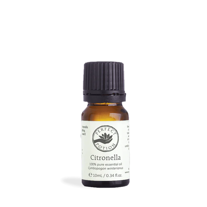 Perfect Potion Citronella Pure Essential Oil 10ml