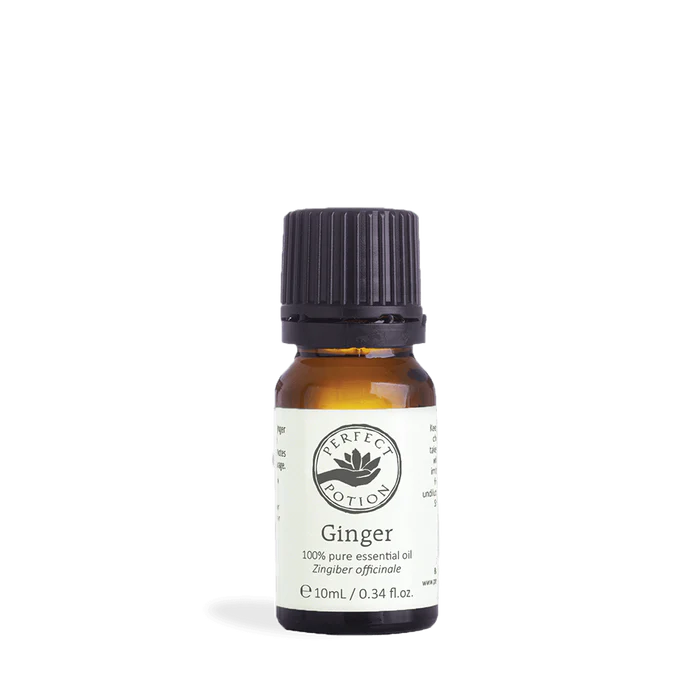 Perfect Potion Ginger Pure Essential Oil