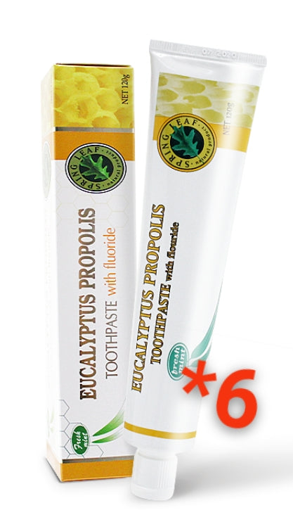 Spring Leaf Eucalyptus Propolis Toothpaste with fluoride *6