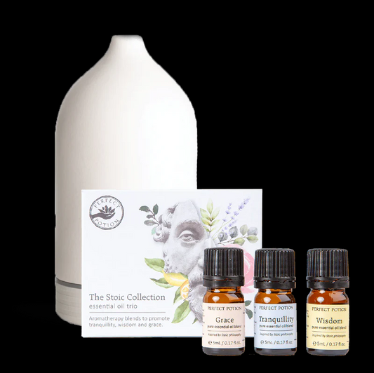 Perfect Potion Stoic Diffuser Gift Set