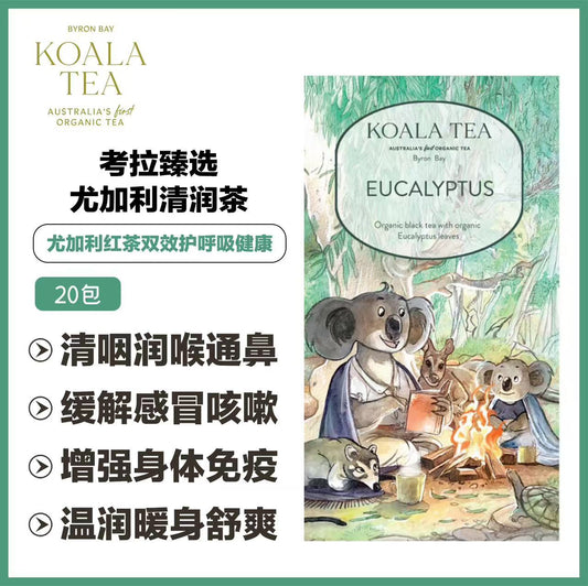 EUCALYPTUS KOALA COLLECTION