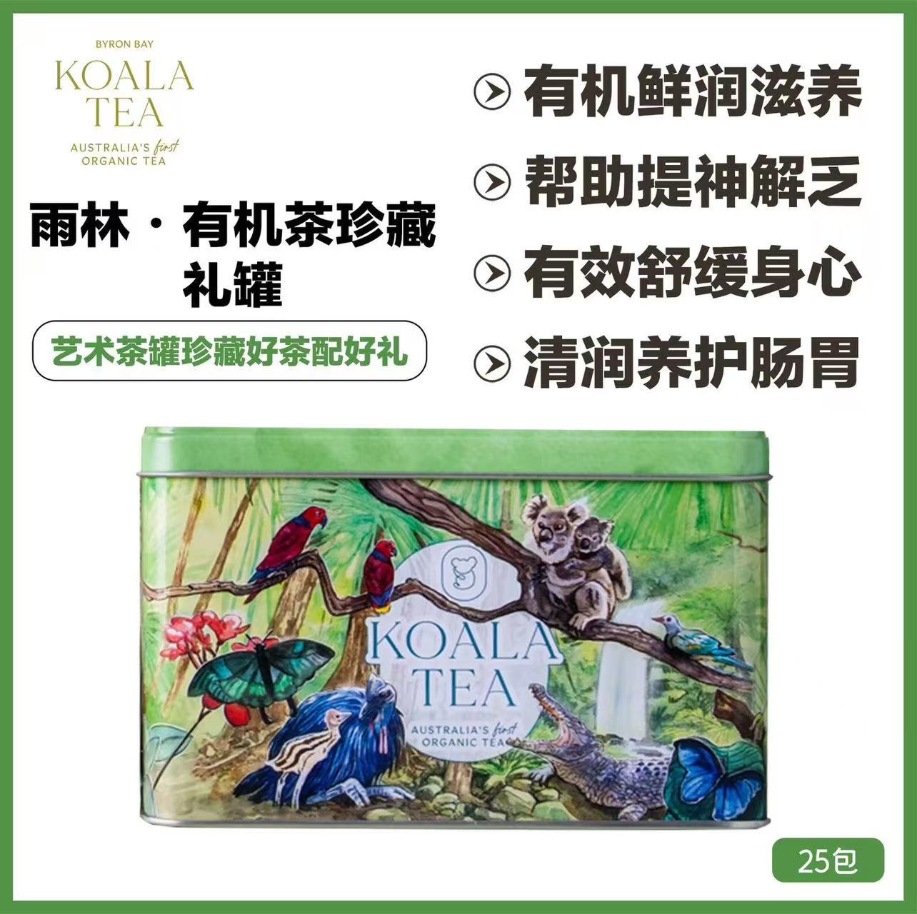 KOALA GIFT TIN RAINFOREST