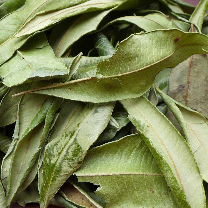 Perfect Potion Lemon Myrtle Pure Essential Oil 10ml