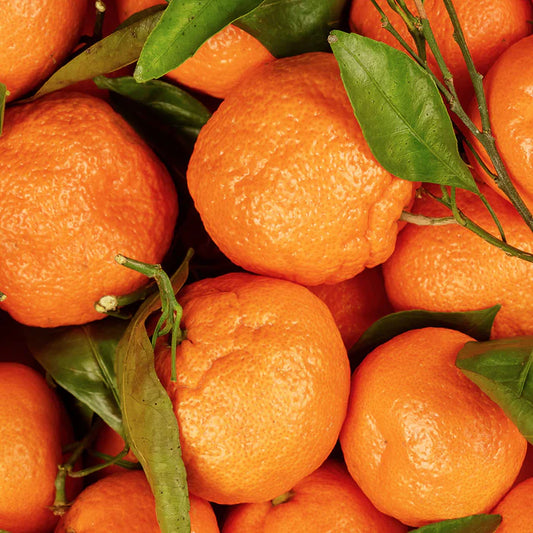 Perfect Potion Mandarin Pure Essential Oil 10ml