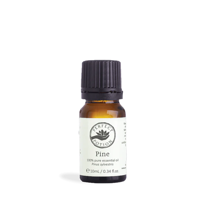Perfect Potion Pine Pure Essential Oil 10ml