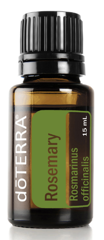 dōTERRA Rosemary Oil  Rosmarinus officinalis