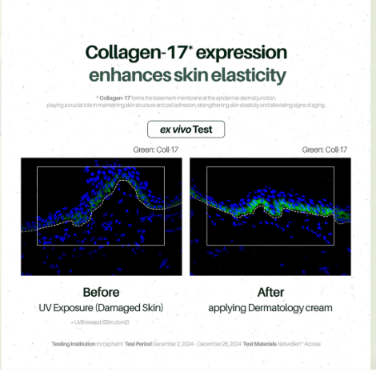 ICD Dermatology Cream