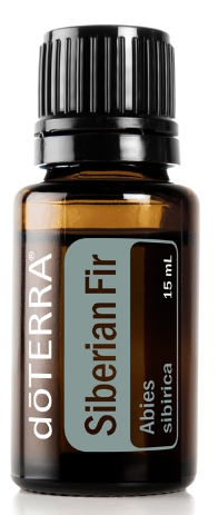 dōTERRA Siberian Fir