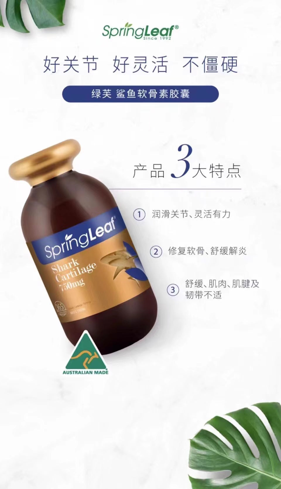 Sụn ​​cá mập Spring Leaf Premium 750mg