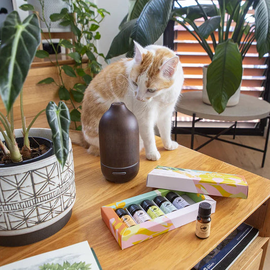 Perfect Potion Dark Wooden Aromatherapy Diffuser